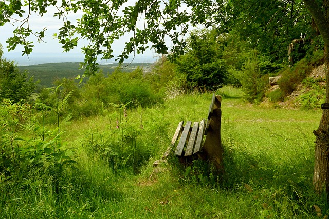 库里的表现 库里的表现