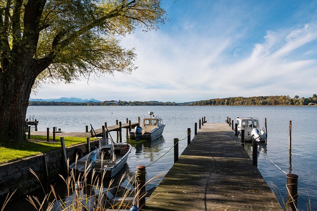 科尔指出 科尔指出